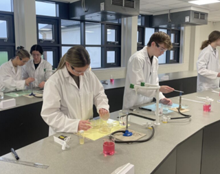 Year 12 Biology Exam