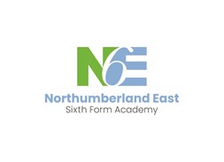 NE6 logo