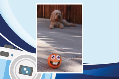 Photographer of the week - 2/11/2020