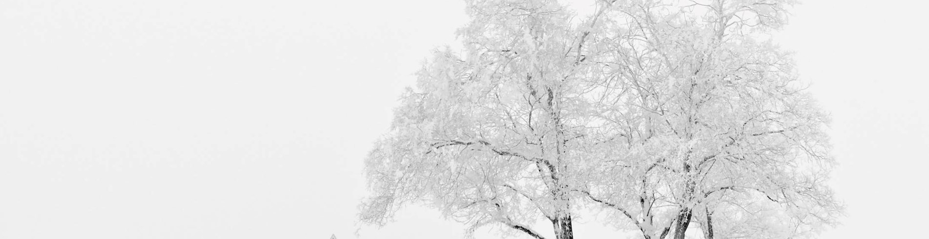 Bad weather procedure