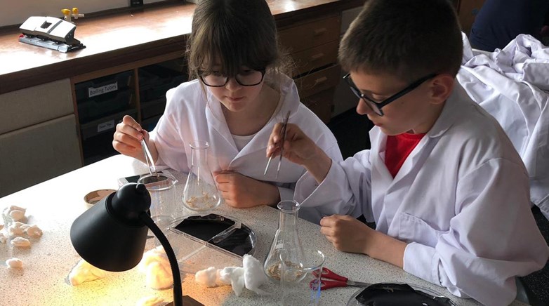 Activities Week 2019